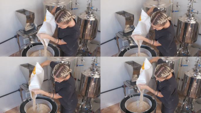 酿酒大师将大麦倒入精酿啤酒的麦芽过程中。