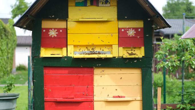 绿地上的蜂箱养蜂人搭建的小屋产蜜