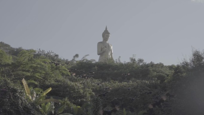 西双版纳大佛寺特色建筑地标景点