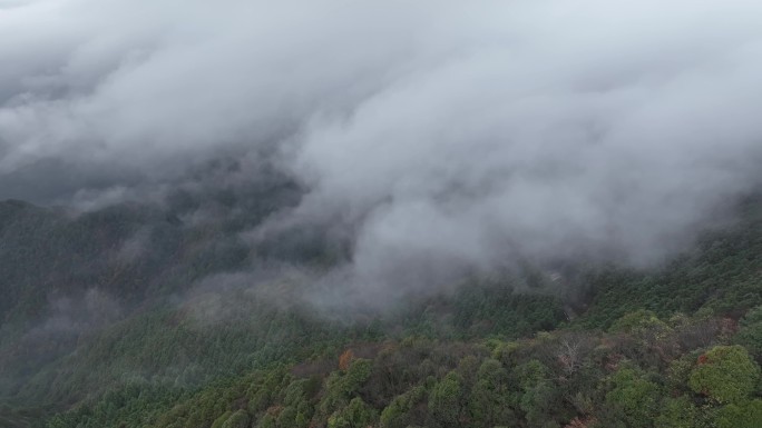 大自然风景4K视频