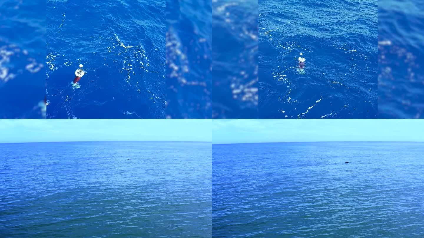 青岛海山海洋装备招投标视频