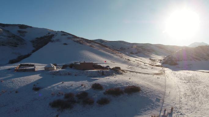 新疆 冰雪 松树 天山 滑雪