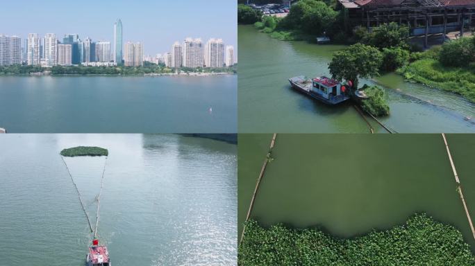 【4K】河道治理 人工清除水葫芦