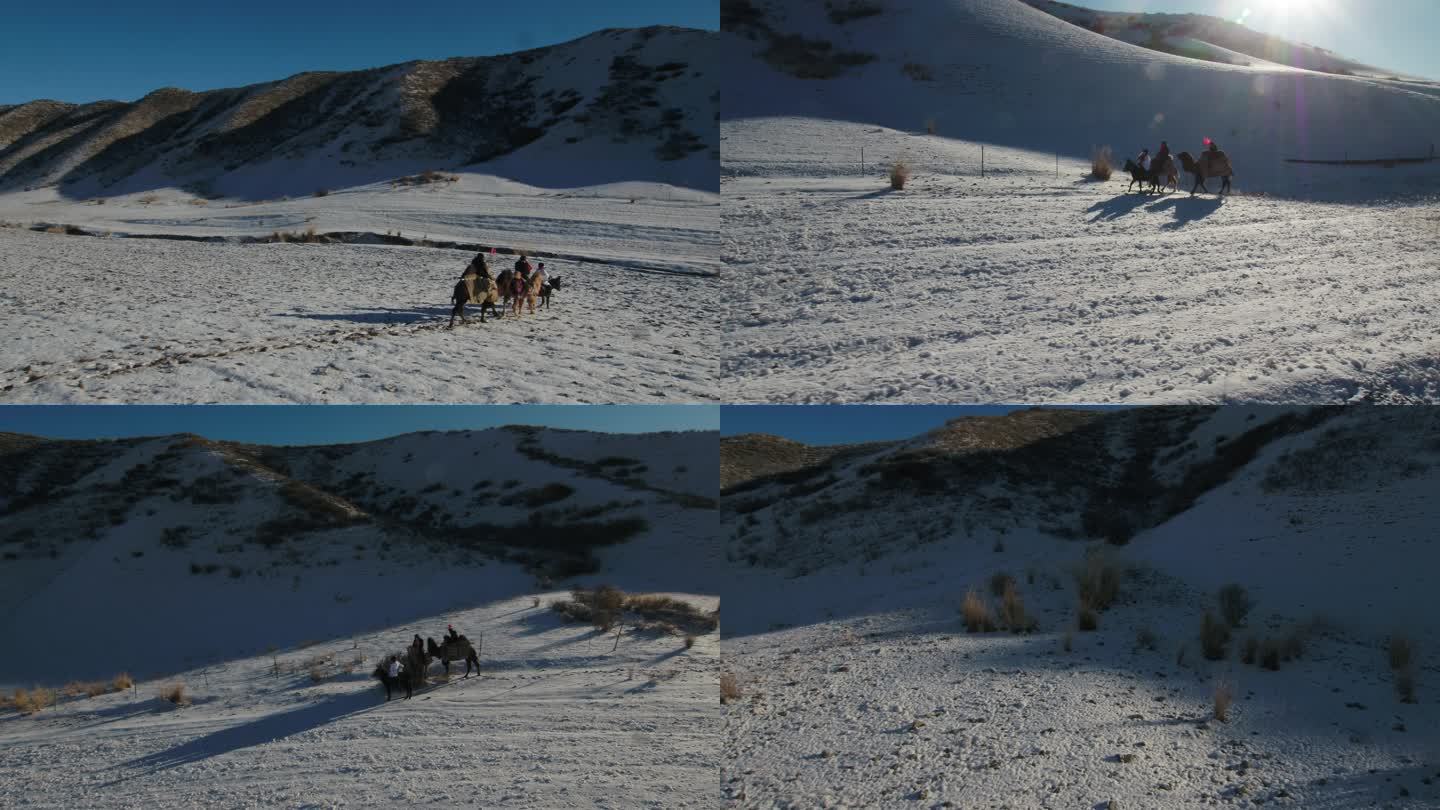 新疆 冰雪 松树 天山 滑雪