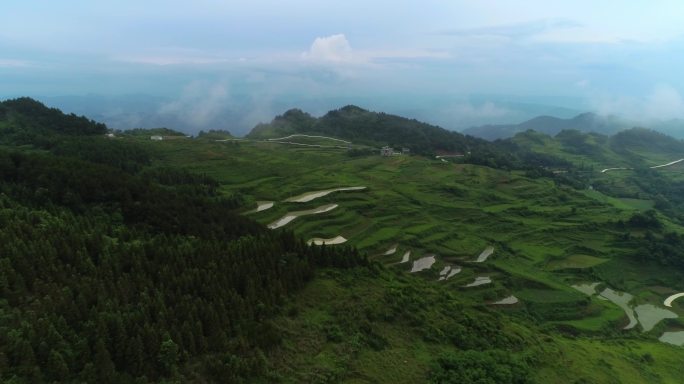 大山上的梯田