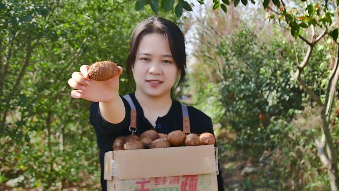 奶香芋头