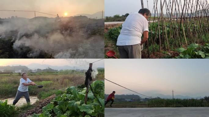 乡村傍晚蔬菜地人工浇水农家傍晚田间升火