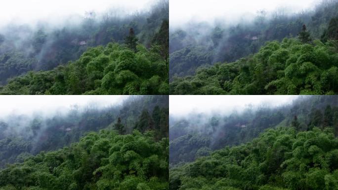 峨眉山下烟雨蒙蒙竹林大山航拍风景