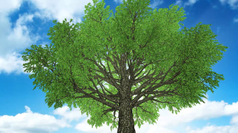 影视建模视频素材下载, 影视建模ae模板下载_光厂(vj师网)