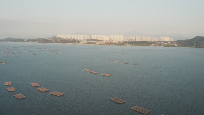 深圳湾大桥景观深圳湾大桥景观水产养殖
