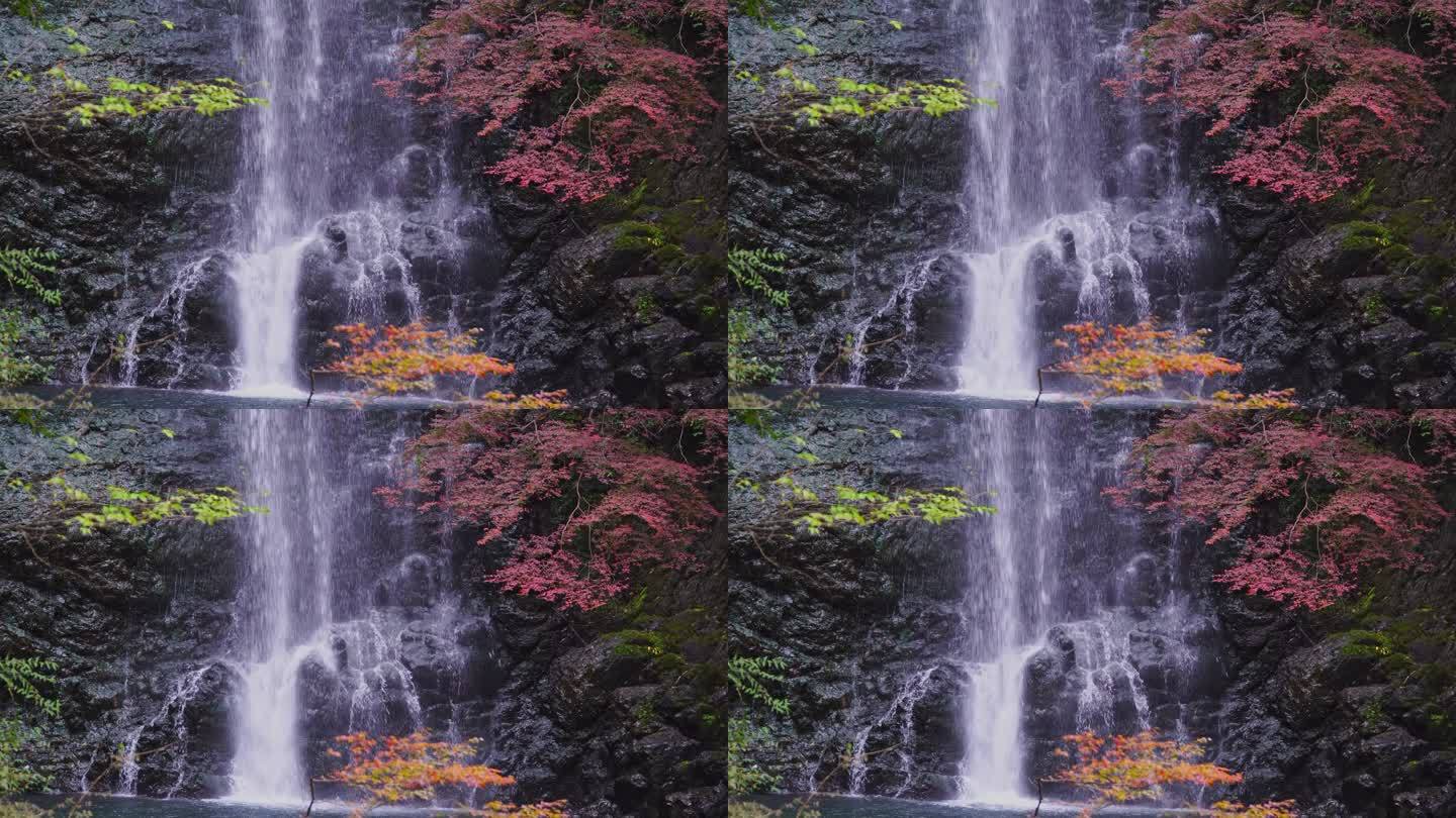 瀑布和多彩的秋叶颜色，4K分辨率