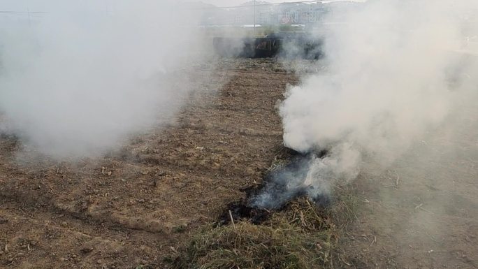 烟雾弥漫村庄烧火烟雾缠绕稻田纵火焚烧稻草