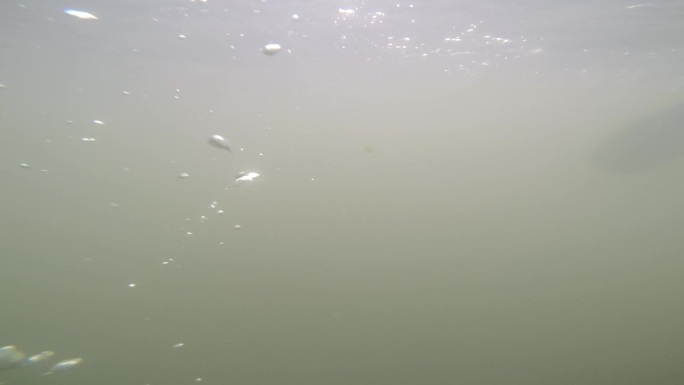 水下船桨划水视频 高清60f