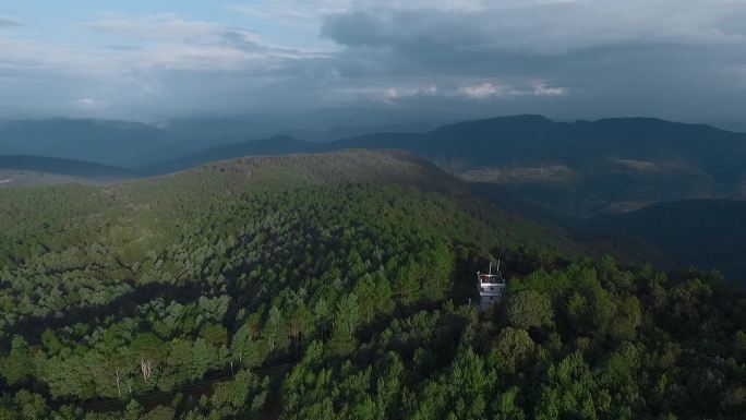 原始森林视频云南山区松树林山顶防火观察哨