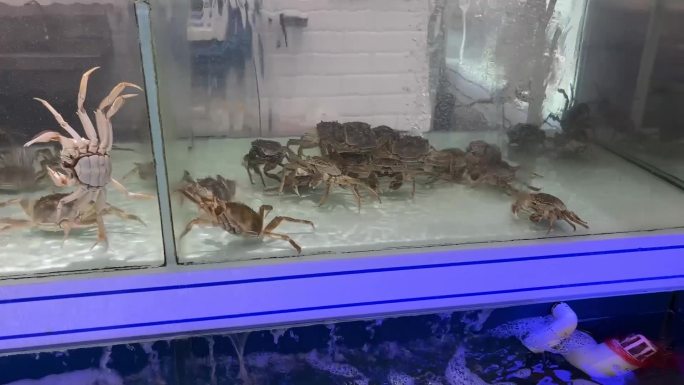 超市海鲜螃蟹海虾
