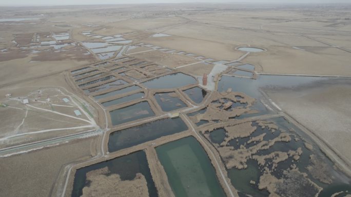 航拍 湿地 水域 芦苇 池塘 西北 秋季