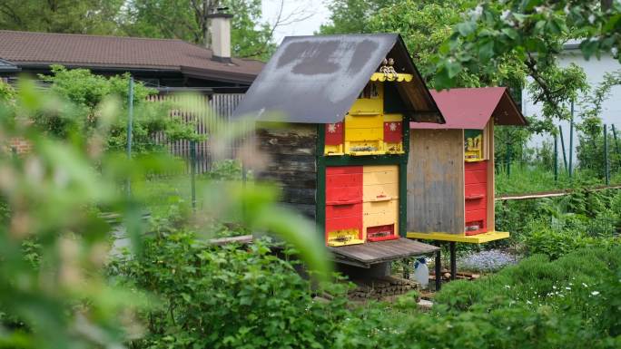 绿地上的蜂箱养蜂人休闲时光春季