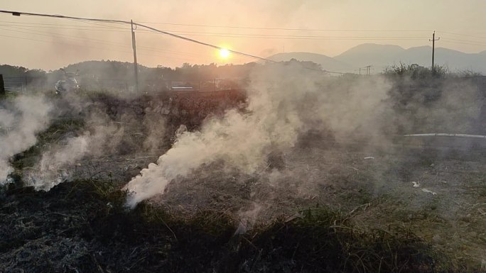 烟雾弥漫村庄烧火烟雾缠绕稻田纵火焚烧稻草