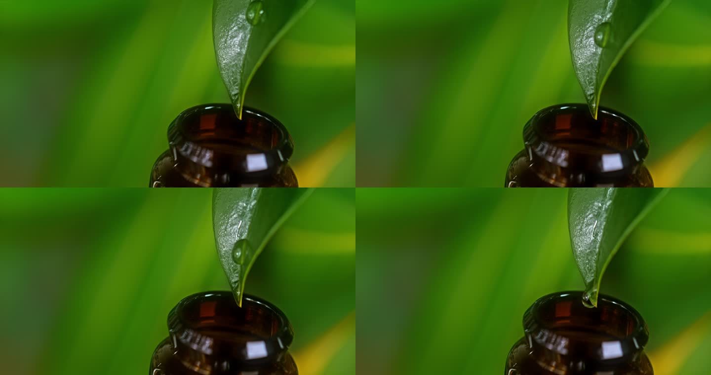 SUPER SLO MO水滴缓缓滴落在绿叶上，然后落入一个小瓶子中