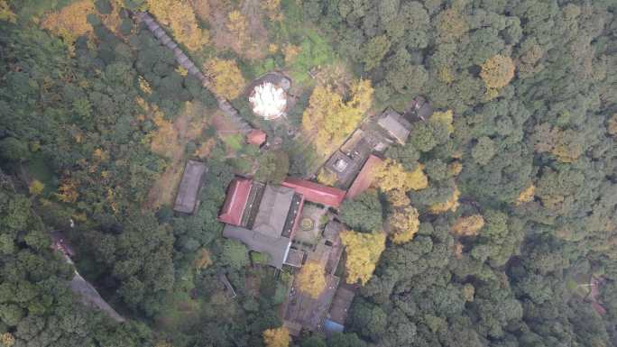 大邑白岩寺秋季银杏航拍风光