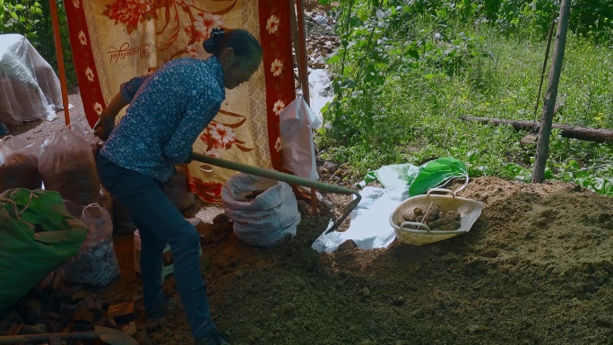 农业种植农村妇女种植天麻锄头挖砂土视频