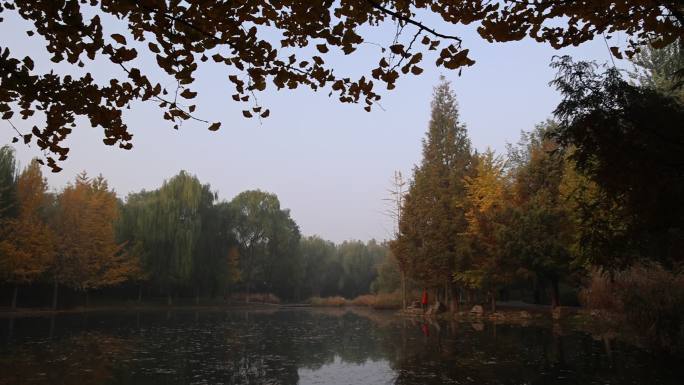 石家庄秋天公园里的湖泊和树林