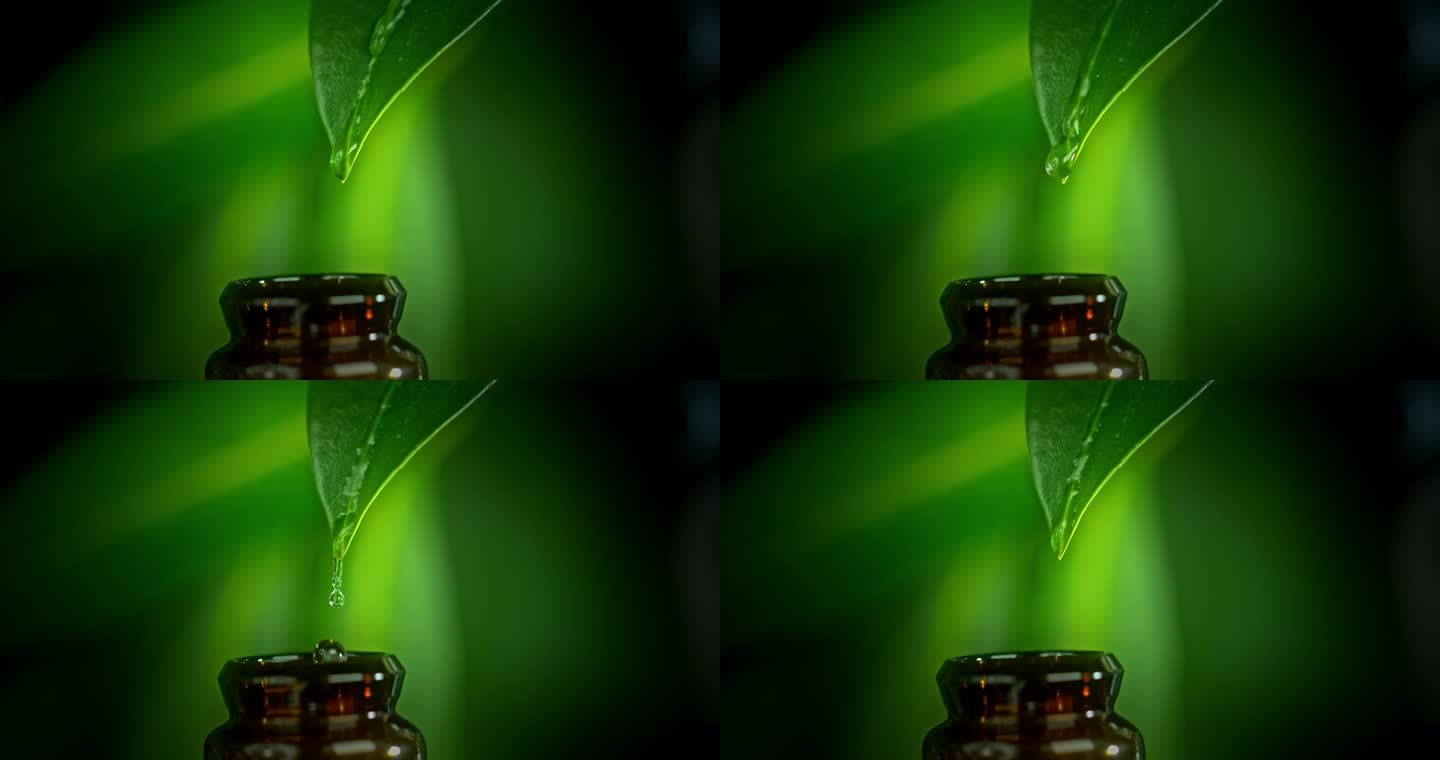 SUPER SLO MO水滴在绿叶上滴入小瓶