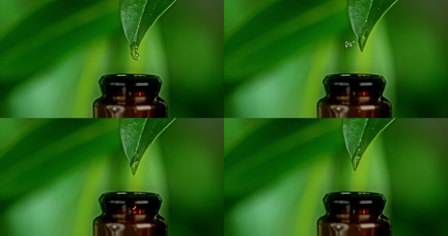 SUPER SLO MO一滴精油从绿叶上滴落到一个小瓶子里
