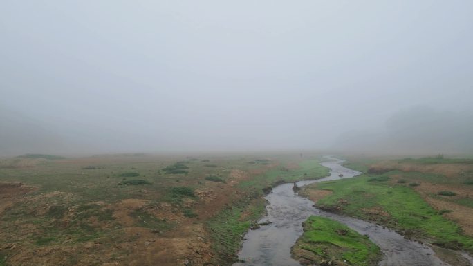 晨雾中的小河溪流