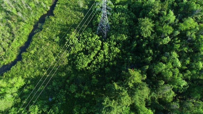 电力线穿越湿地电塔高压电森林