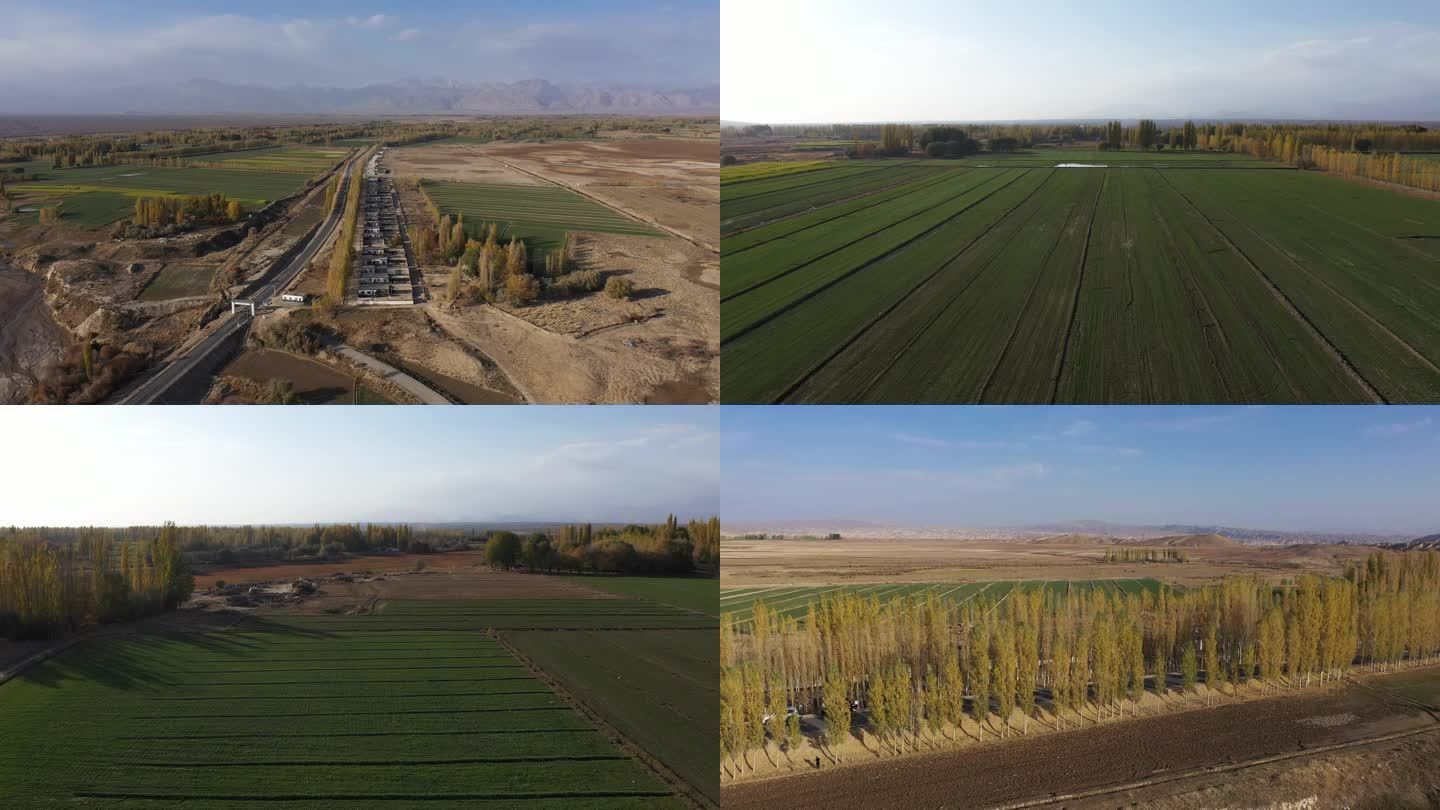 新疆农业农田4k航拍