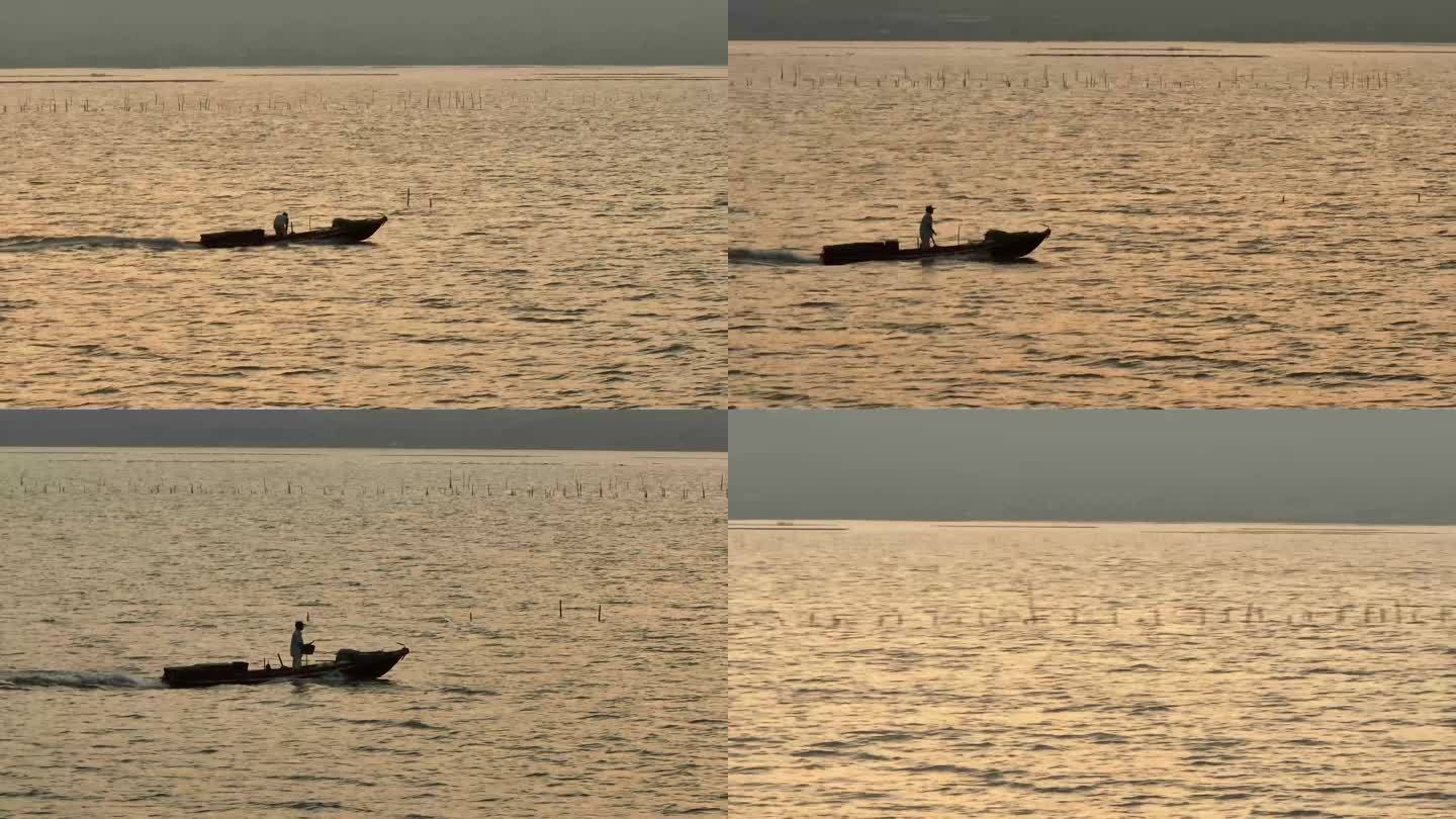 赶海 日落赶海 大海 滩涂