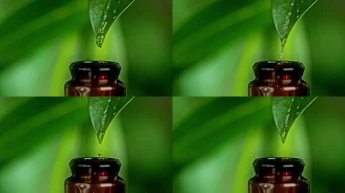 SUPER SLO MO水滴滴落在绿叶上，落入一个小瓶子中