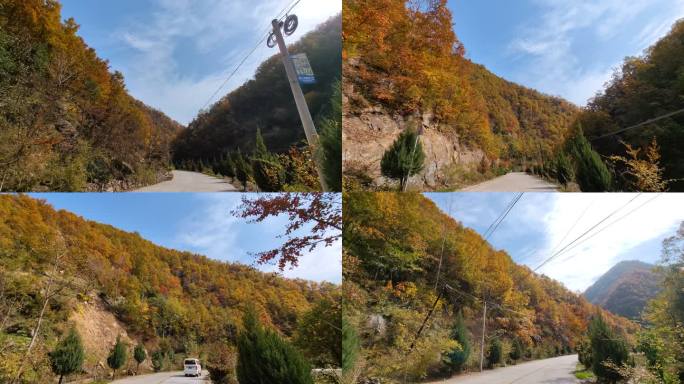 山里的秋天汽车在山里行驶2