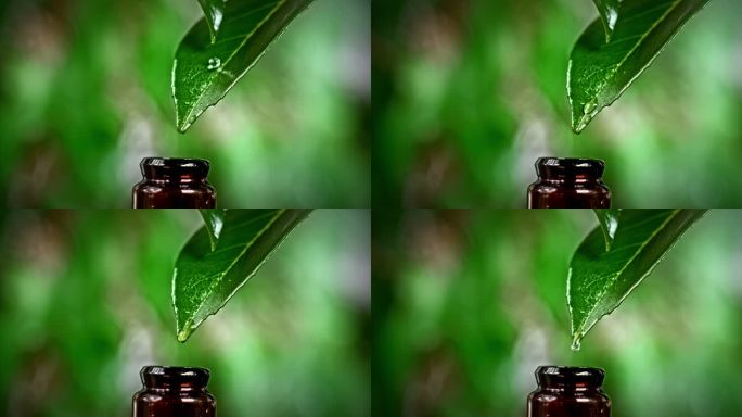 SUPER SLO MO水滴从绿叶上滴入小瓶