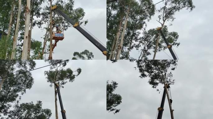 砍树木移动树林锯树电力部门配合长臂车吊树