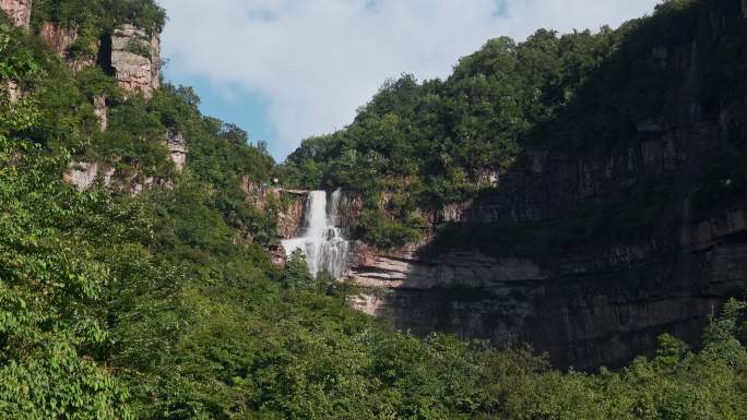 瀑布视频山林间绿色环抱跌水森林