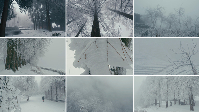 大雾冰雪山林【集锦】