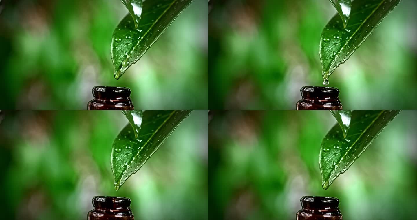 一滴水滴在潮湿的绿叶上，滴到一个小瓶子里