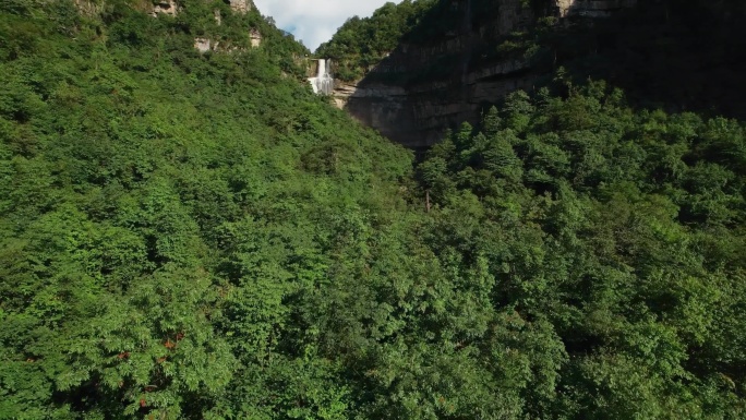 绿水青山视频云南昭通植被丰茂原始森林瀑布