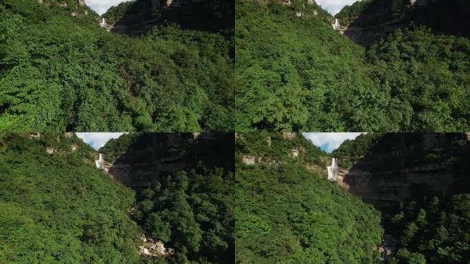 绿水青山视频云南昭通植被丰茂原始森林瀑布
