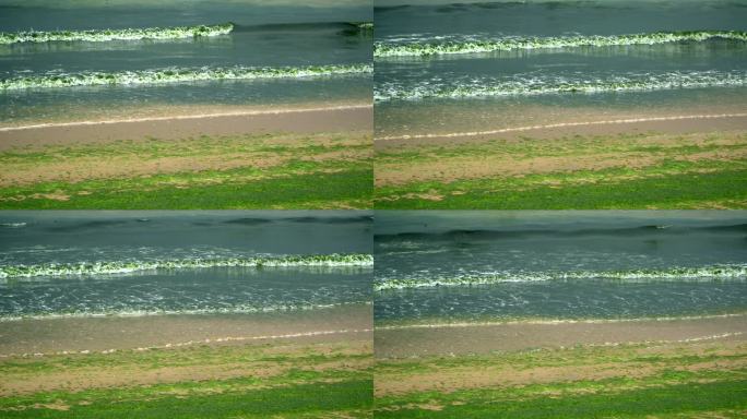 东海自然风光美丽旅行美景