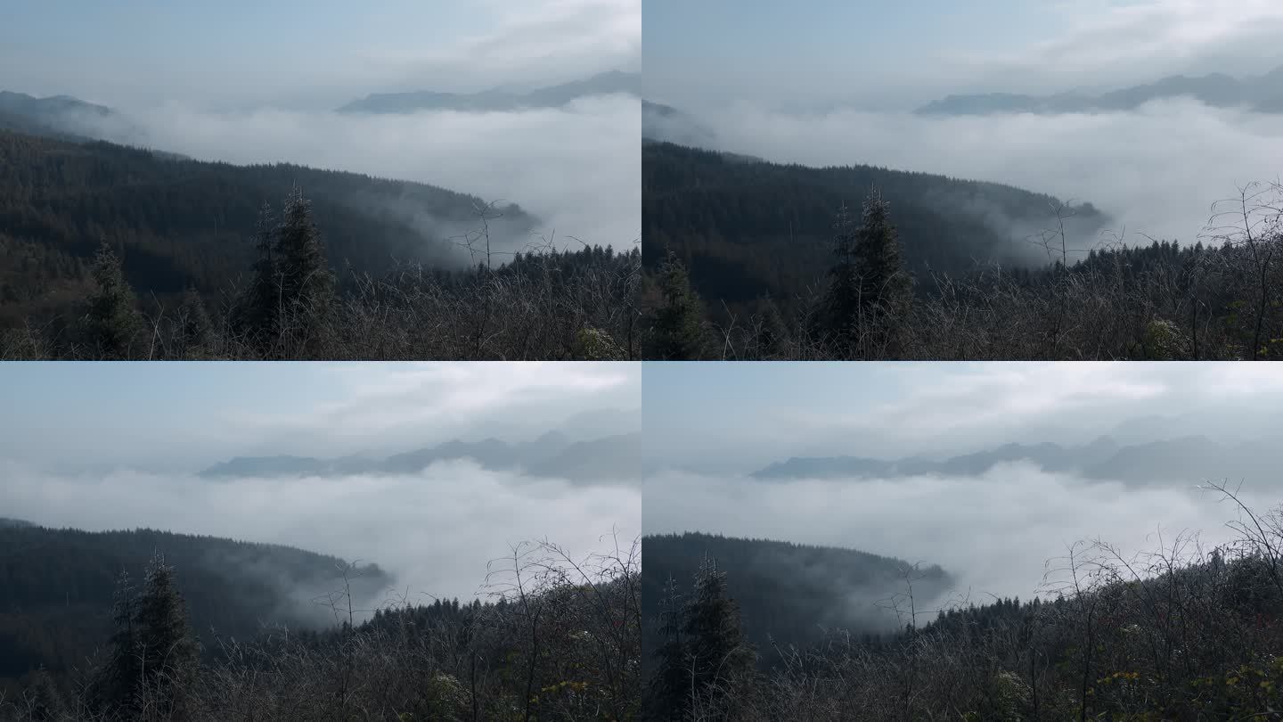 雾凇云海视频云南冬季山乡风光