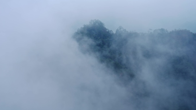 高山云雾雾气