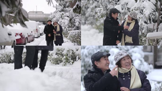 退休老年幸福生活夫妻散步赏雪景晚年生活