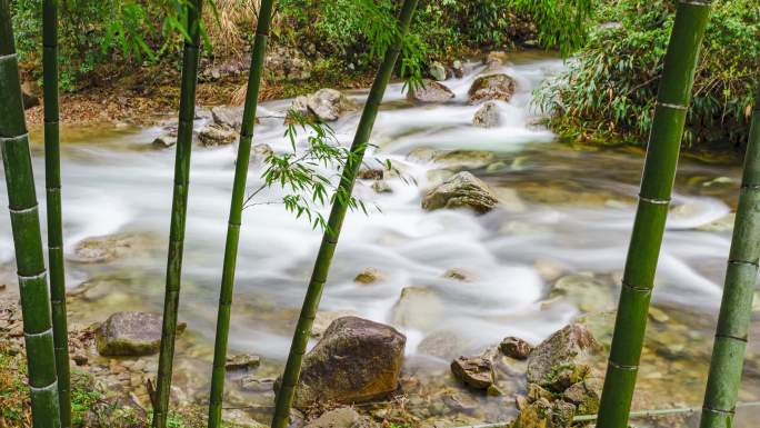 竹林小溪流空灵意境延时摄影