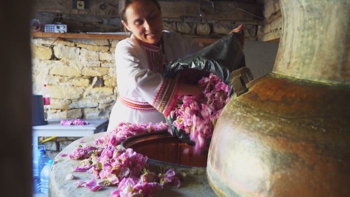 大马士革蔷薇。现在是精油生产季节。著名的保加利亚玫瑰的数量达到了顶峰。