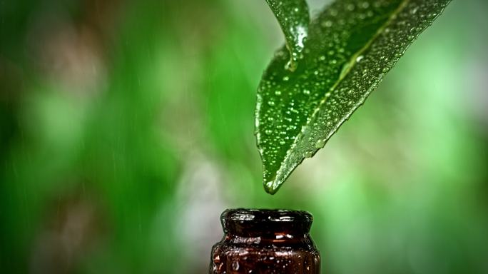 雨点从绿叶上滴落到一个小瓶子里