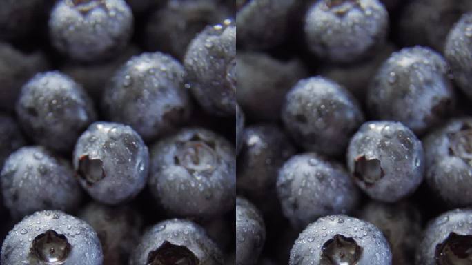 新鲜蓝莓新鲜蓝莓水果水珠