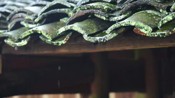 山村细雨，老屋雨滴。